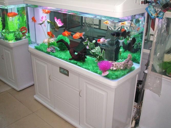 永州魚缸店，永州市冷水灘區(qū)新時尚生態(tài)水族店2025年水族魚缸市場趨勢