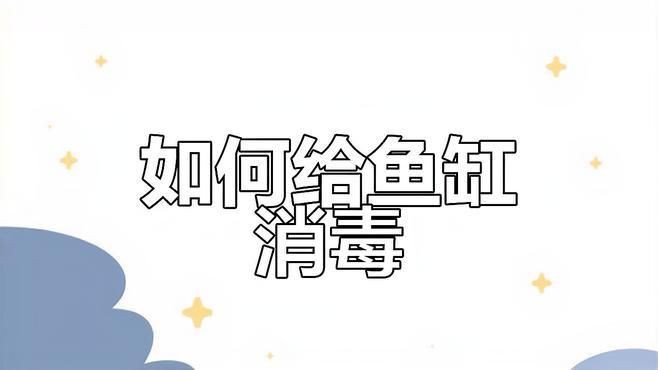 魚缸用什么殺菌消毒最好，新魚入缸前必備消毒步驟高錳酸鉀輕松去除病菌全民小視頻