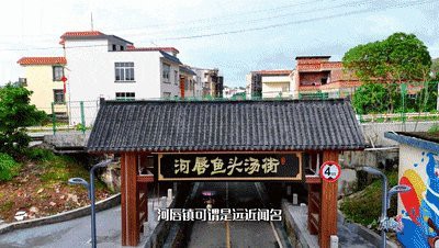 廉江龍魚店，廣州廉江龍魚店哪家最好廉江龍魚店哪家最好
