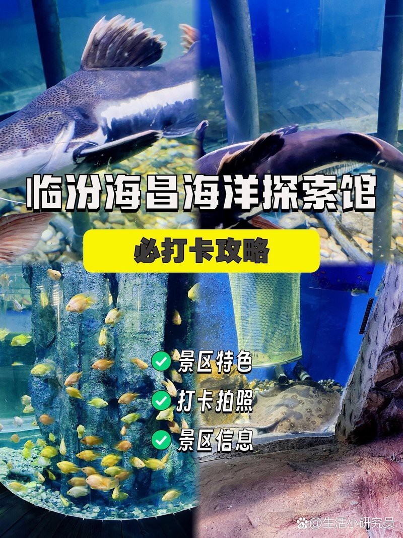 堯都水族店，臨汾市堯都區(qū)多家水族店構(gòu)成了當(dāng)?shù)刎S富的觀賞魚及水族用品市場