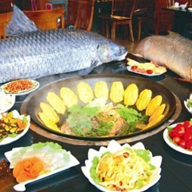 敖漢龍魚店，內(nèi)蒙古敖漢龍魚店