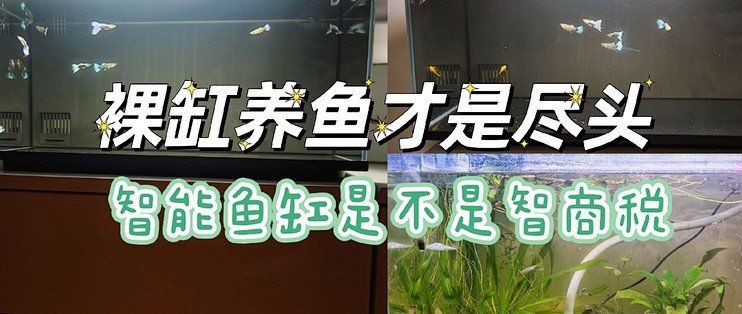 十大最建議買的智能魚缸，2025年中國水族箱品牌top10權威榜單出爐 十大最建議買的智能魚缸，2025年中國水族箱品牌top10權威榜單出爐 龍魚百科 第2張