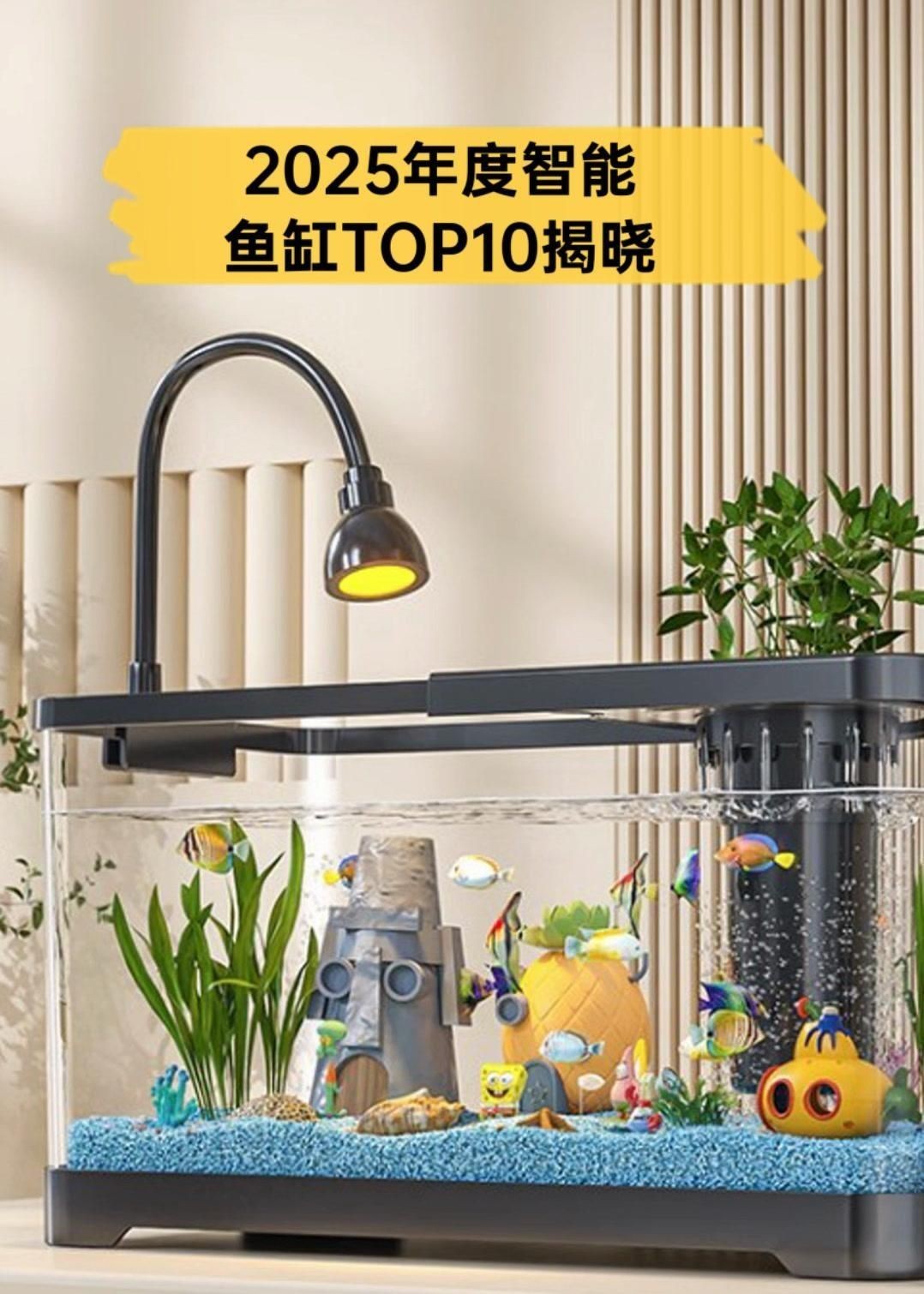 十大最建議買的智能魚缸，2025年中國水族箱品牌top10權威榜單出爐 十大最建議買的智能魚缸，2025年中國水族箱品牌top10權威榜單出爐 龍魚百科 第5張