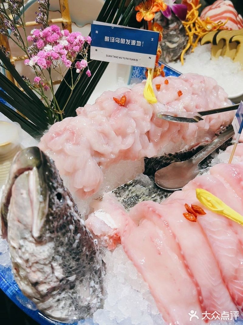 巴林右旗龍魚店，京東巴林右旗龍魚店\