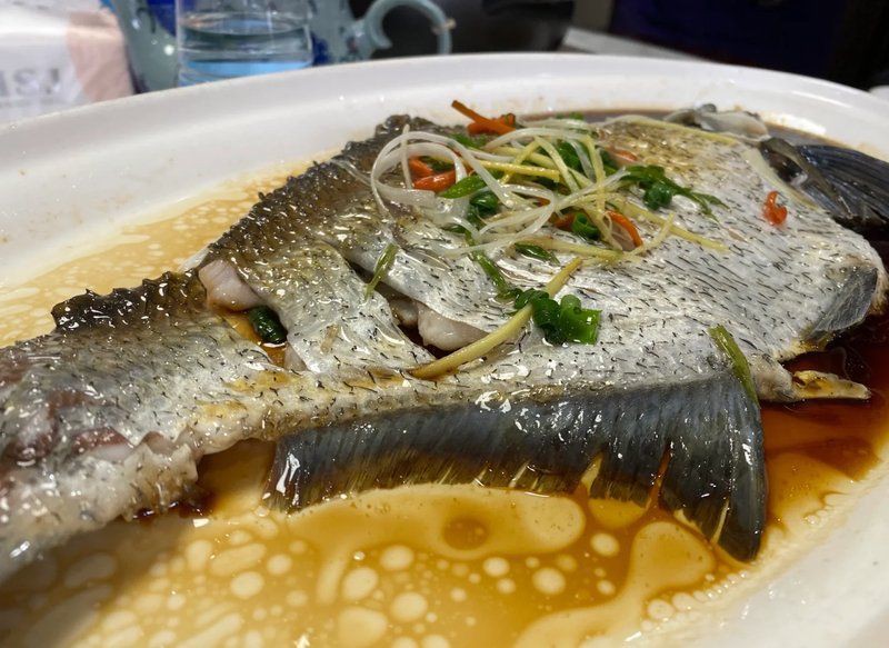 宜春龍魚店，宜春的龍魚店