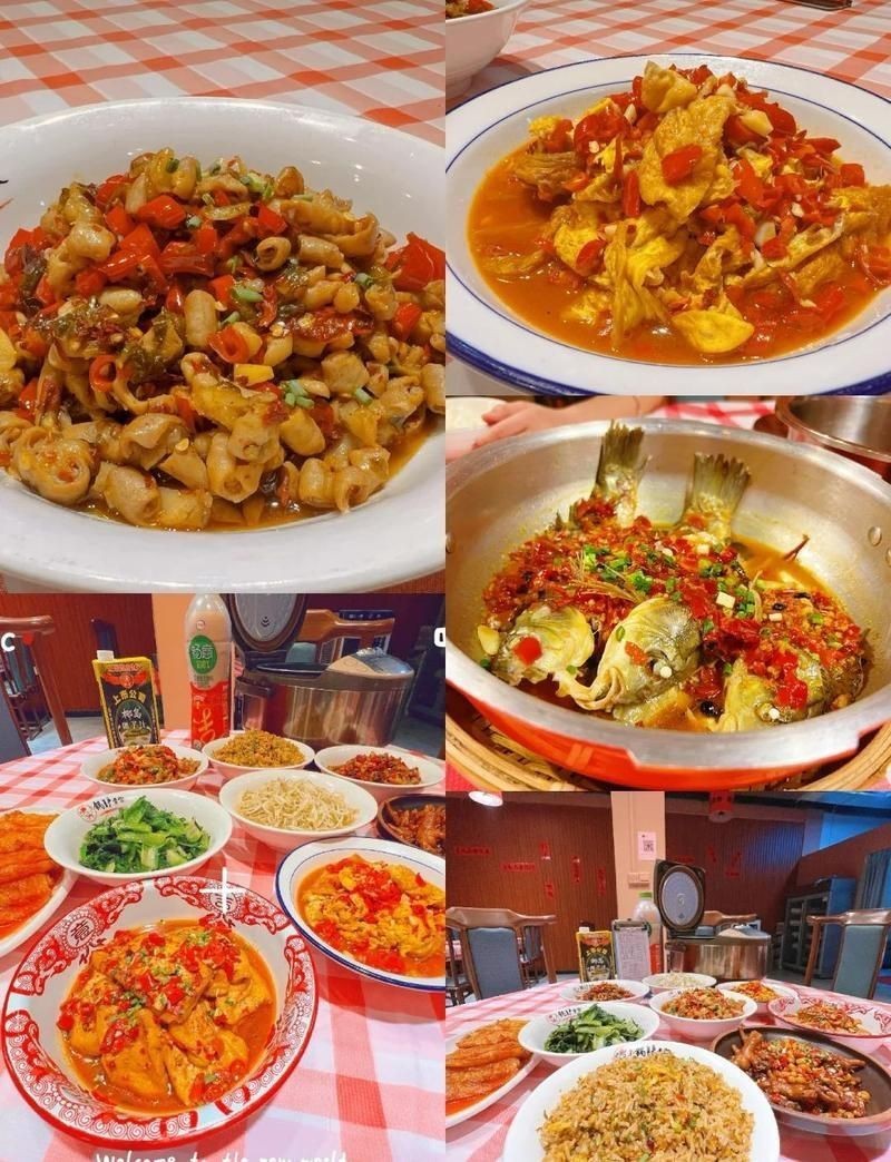 宜春龍魚店，宜春的龍魚店