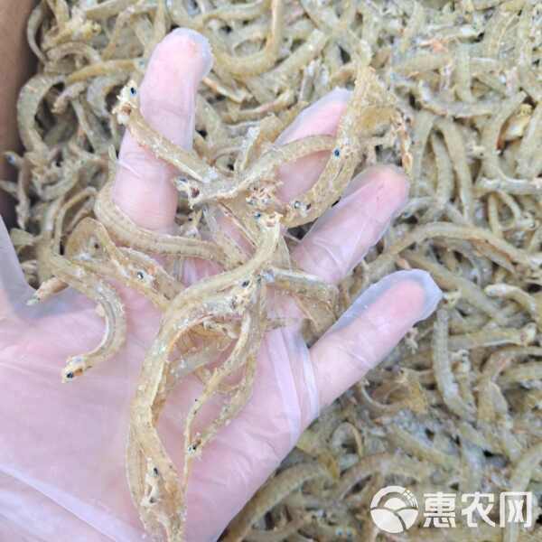 鳳魚價格一覽表，鳳尾魚價格一斤多少錢一斤一條鳳尾魚養殖需要哪些條件