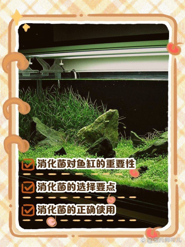 瑪豆細(xì)菌水族消化活菌，瑪豆細(xì)菌水族消化活菌品牌排行榜京東硝化細(xì)菌品牌排行榜
