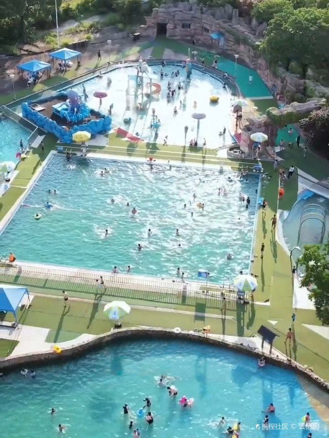 寧海水族店，寧海水族店是當地專注于水族領域的特色商鋪