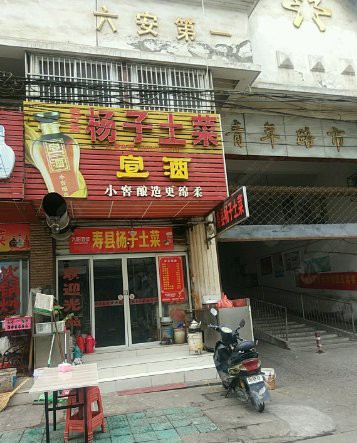六安龍魚店，六安龍魚店哪家口碑最好
