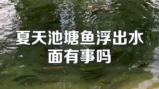 魚浮頭后一般多久會死？，金魚浮頭到死大概多久