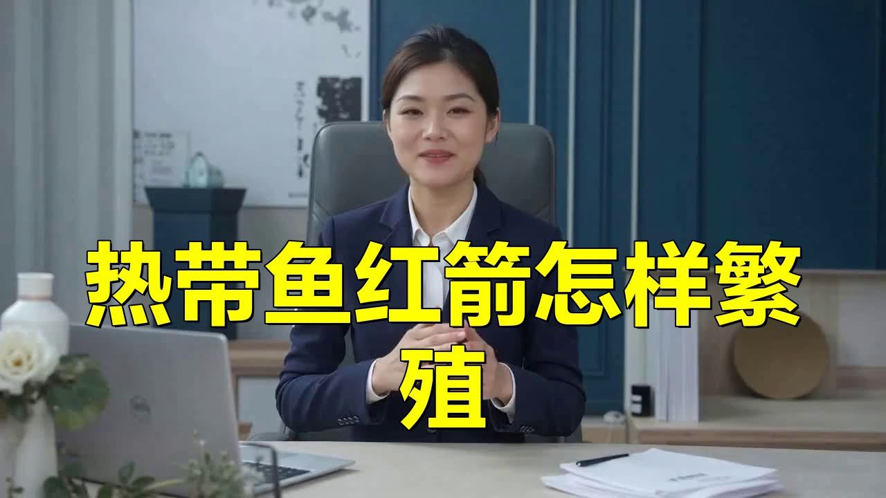 孔雀魚和紅箭能繁殖嗎，關于孔雀魚和紅箭能否繁殖的問題存在一定爭議性案例