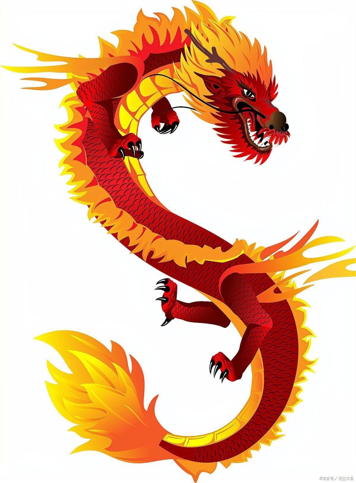 紅龍與金龍的傳說故事，《紅龍與金龍的傳說故事》