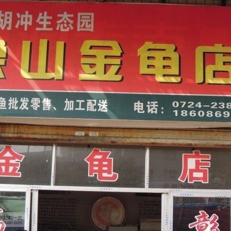 荊門龍魚店，荊門龍魚店利潤怎么樣創業新選擇