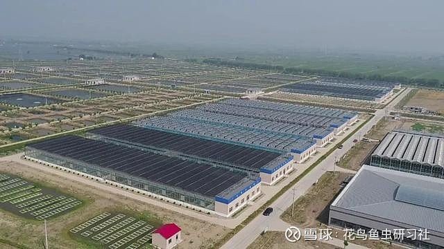 寶坻水族店，天津市寶坻區(qū)微漾水族用品店