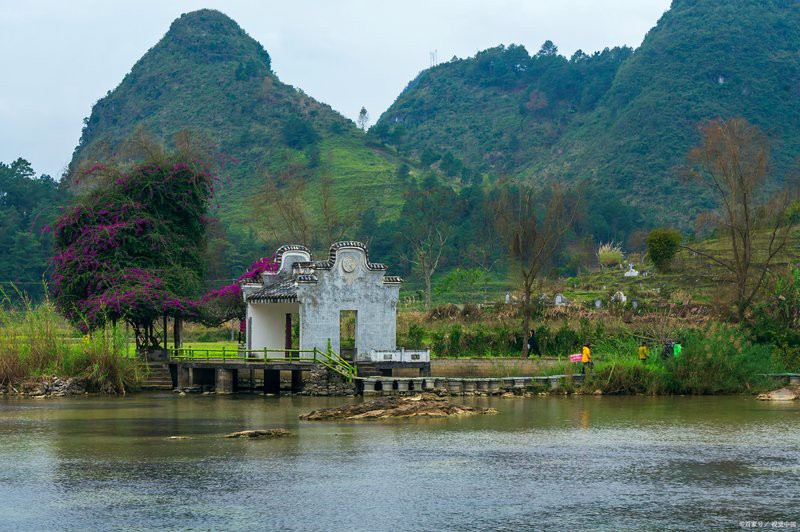 忻城龍魚店，忻城有賣龍魚的地方嗎 忻城龍魚店，忻城有賣龍魚的地方嗎 全國水族館企業名錄 第2張
