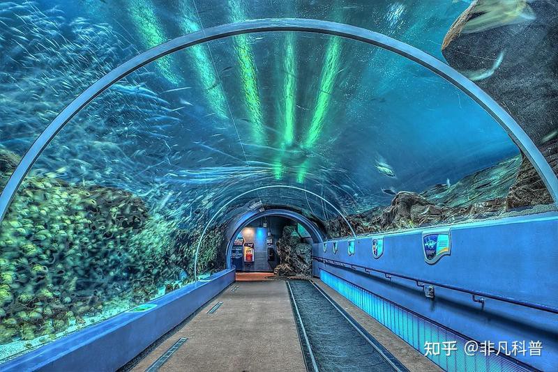 世界海洋館排名，全球十大海洋館排行榜:中國十大海洋館排名心靈墨水族館