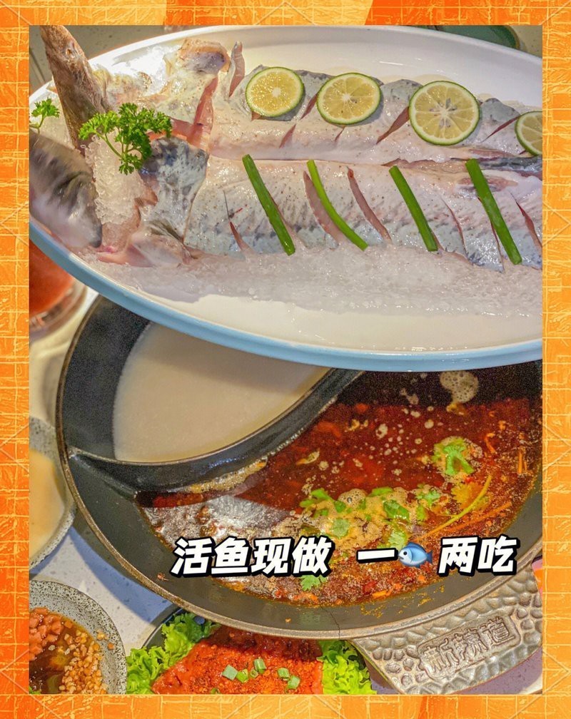土右旗龍魚店，呼和浩特土右旗的龍魚店