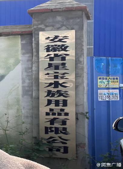 固鎮(zhèn)水族店，固鎮(zhèn)縣城關(guān)彩蝶水族花卉店