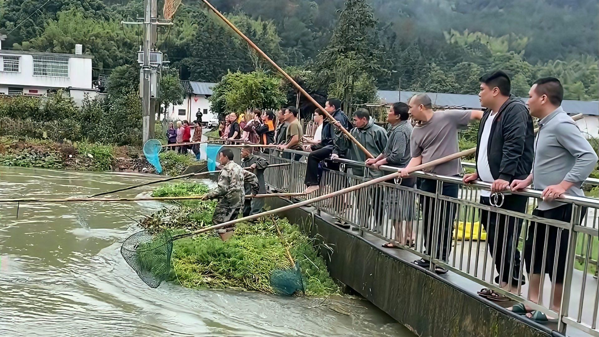 撈魚網撈魚的視頻，《撈魚網撈魚》視頻