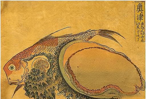 世界上最貴鮑魚排名，世界上“最奢侈”的鮑魚