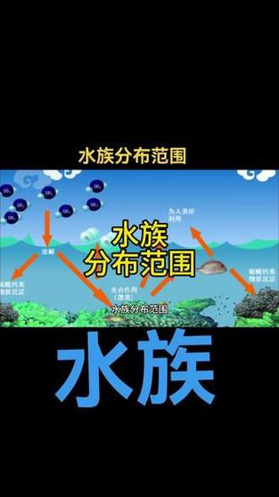 二水族分布地圖全圖，“二水族分布地圖”聚焦于二級(jí)水系的地理空間布局