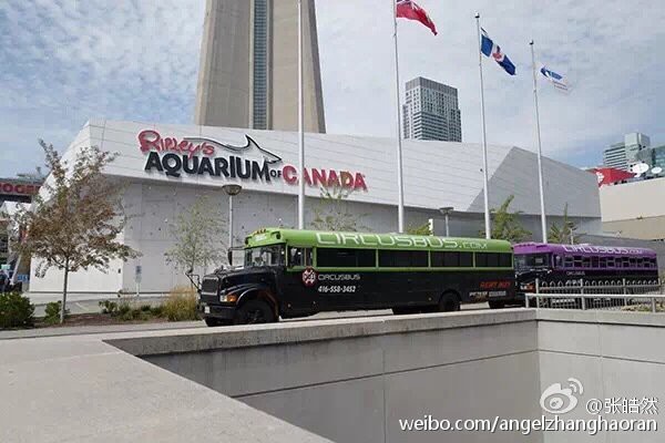 多倫水族店，多倫縣森淼水族花卉店