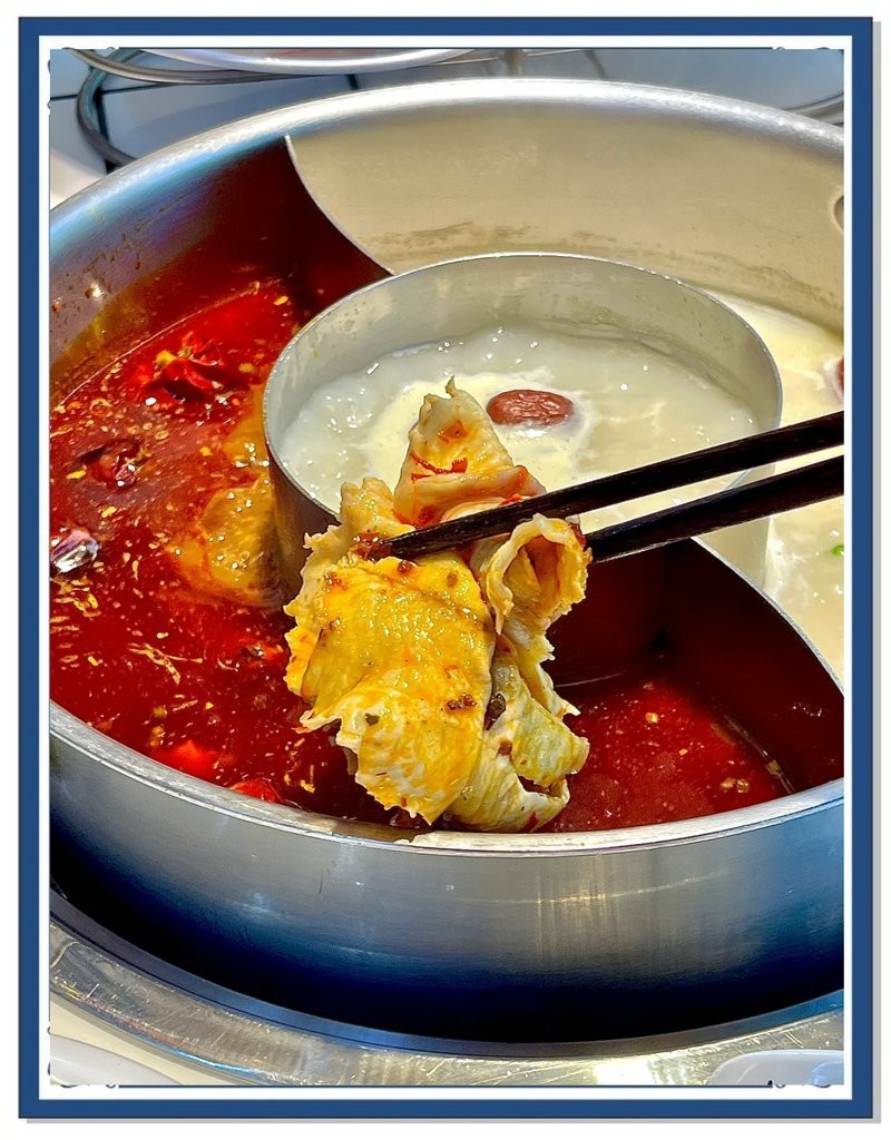 新鄉縣龍魚店，如何在新鄉縣找到一家專門的龍魚店