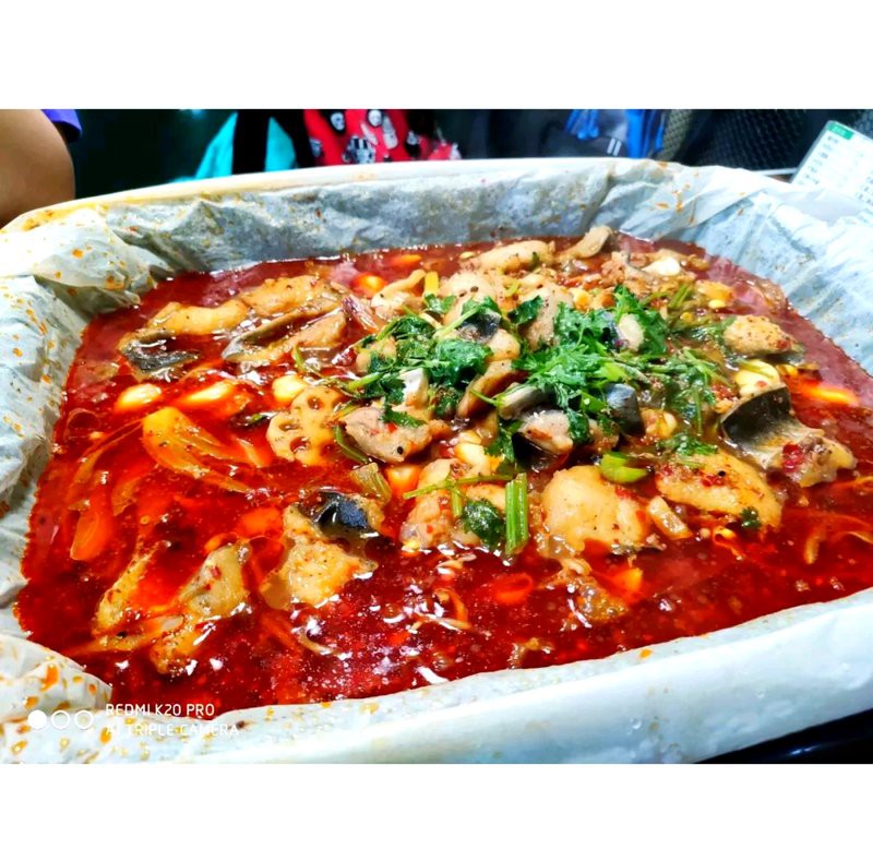 新鄉縣龍魚店，如何在新鄉縣找到一家專門的龍魚店