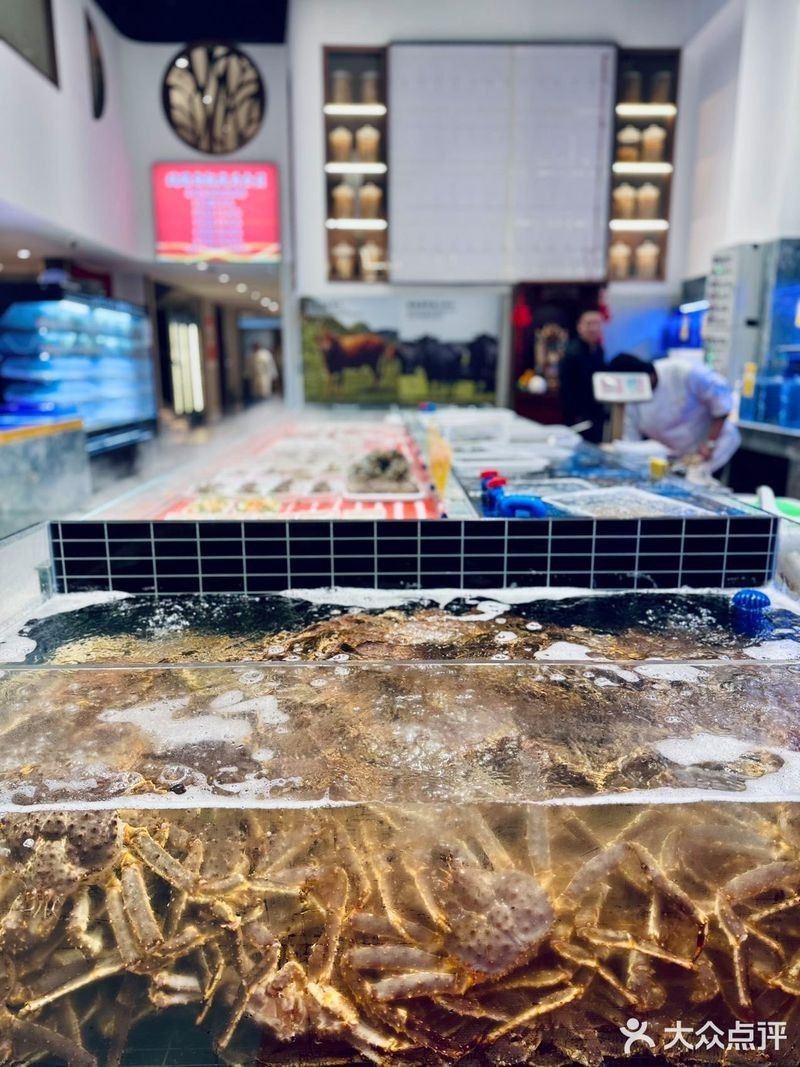 塘沽龍魚(yú)店，塘沽區(qū)聚龍閣龍魚(yú)水族館