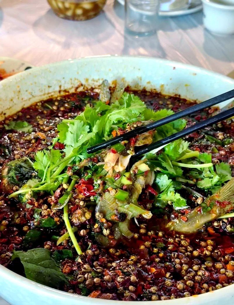 平樂龍魚店，古鎮第一魚(平樂古鎮意外美食發現皮皮icey羅小薇
