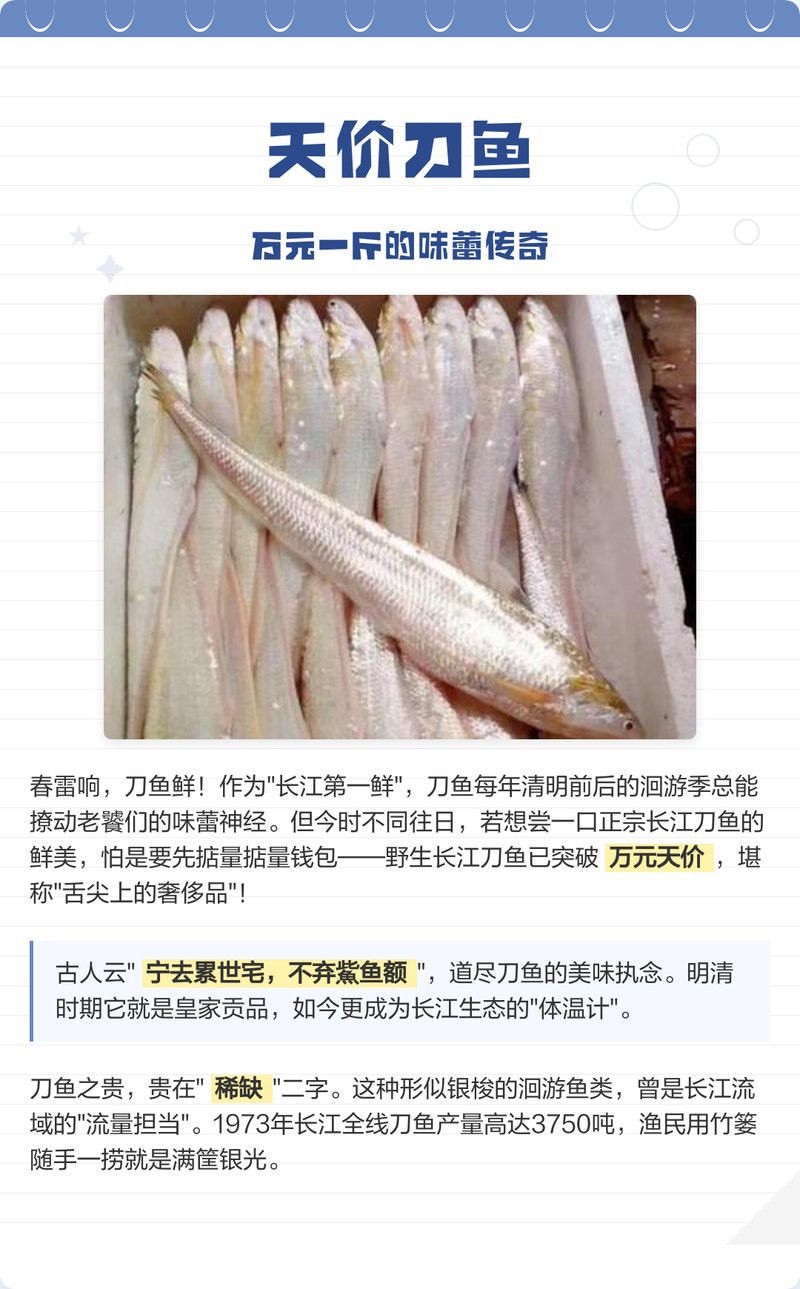 盤錦河刀魚1斤多少錢，盤錦河刀魚價格圖譜猶如遼河三角洲的水系般錯綜復雜
