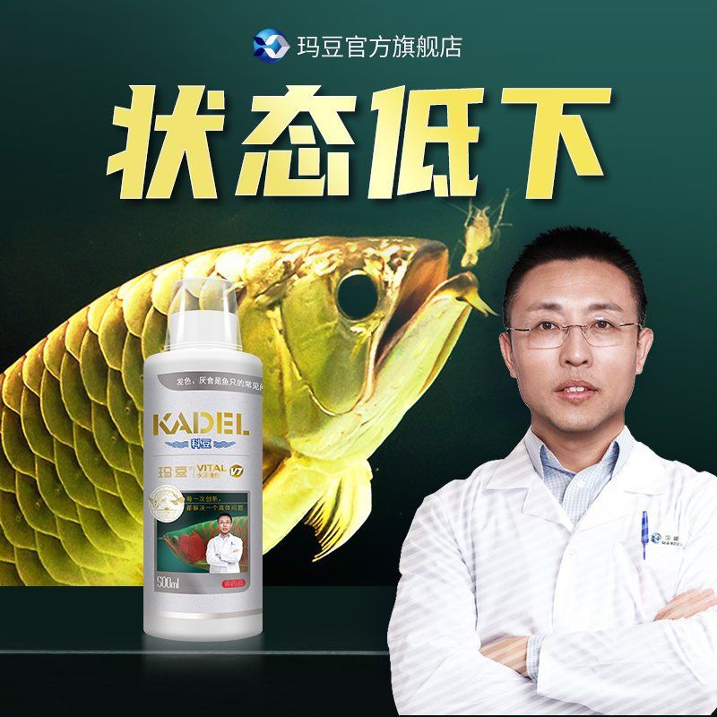 瑪豆的產品怎么樣，優菌庫——環保瑪豆水族生物科技
