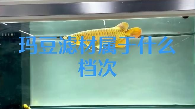 瑪豆的產(chǎn)品怎么樣，優(yōu)菌庫(kù)——環(huán)保瑪豆水族生物科技