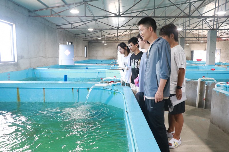 屯昌龍魚店，屯昌有沒有龍魚店