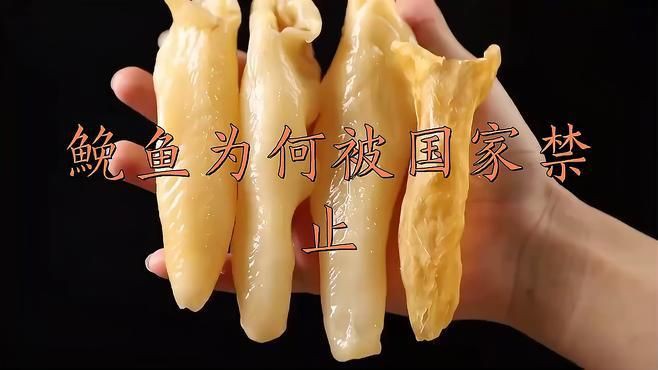 鮸魚為什么很少賣，鮸魚為什么很少賣luna聲韻研習社鮸魚為何被國家禁止阿閱書驛