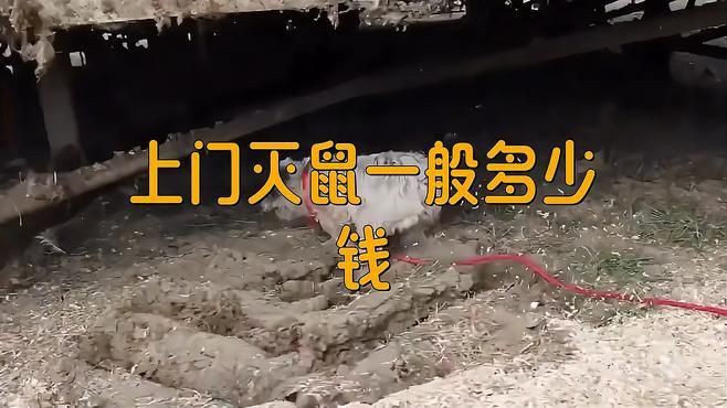 滅鼠公司上門收費標準，《滅鼠公司上門收費標準》