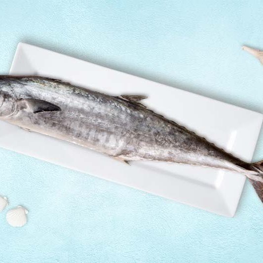 東北吃的燕魚是什么魚，東北食用地區的“燕魚”