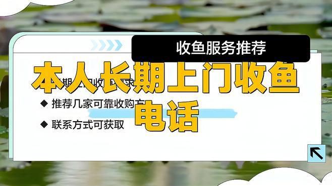 收魚24小時上門電話附近，《收魚24小時上門電話附近》