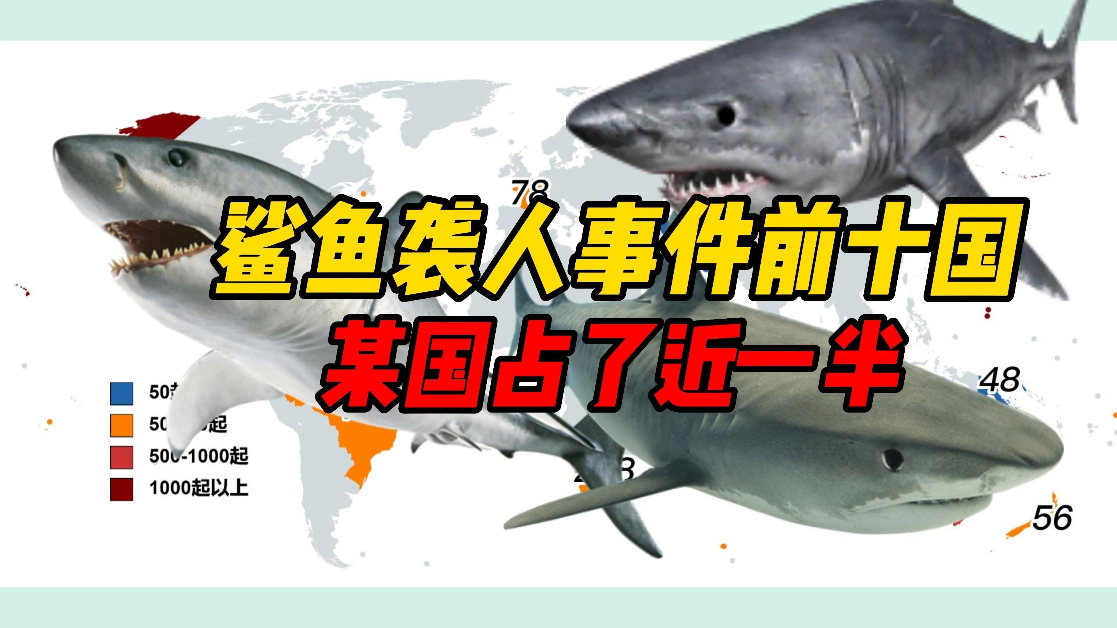 每年有多少人被鯊魚吃了，全球平均每年會有83人無端被鯊魚襲擊