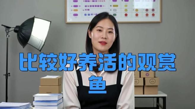 瑪麗魚和孔雀魚哪個好養活，《瑪麗魚和孔雀魚哪個好養活》