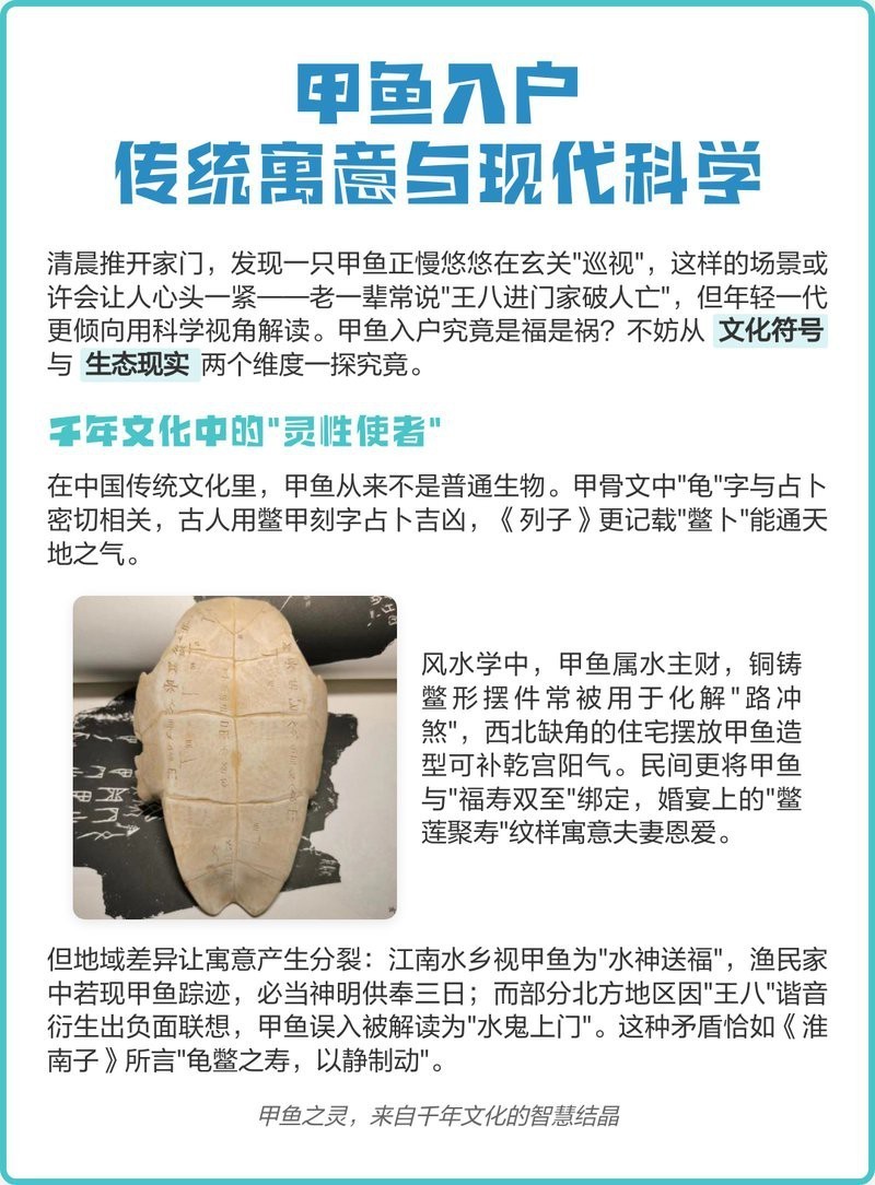 甲魚養在家里是吉是兇，《甲魚養在家里是吉是兇》