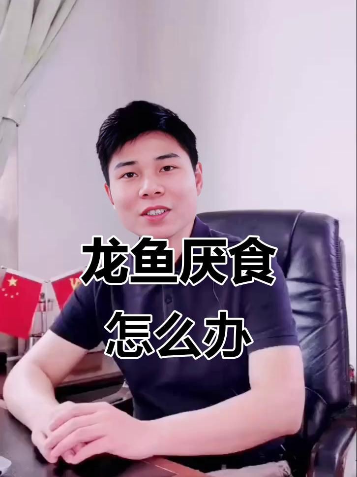 有沒有其他方法治療龍魚厭食？，龍魚厭食原因及治療方法全解析龍魚厭食原因及治療方法