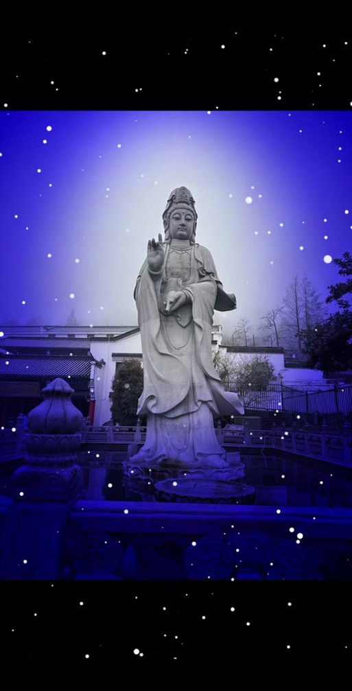 佛與魚的圖片，《佛與魚的圖片》——佛與魚的奇妙相遇