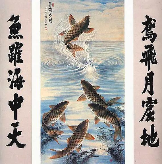 佛與魚的圖片，《佛與魚的圖片》——佛與魚的奇妙相遇