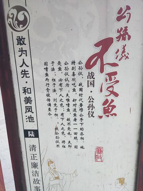 佛與魚的圖片，《佛與魚的圖片》——佛與魚的奇妙相遇