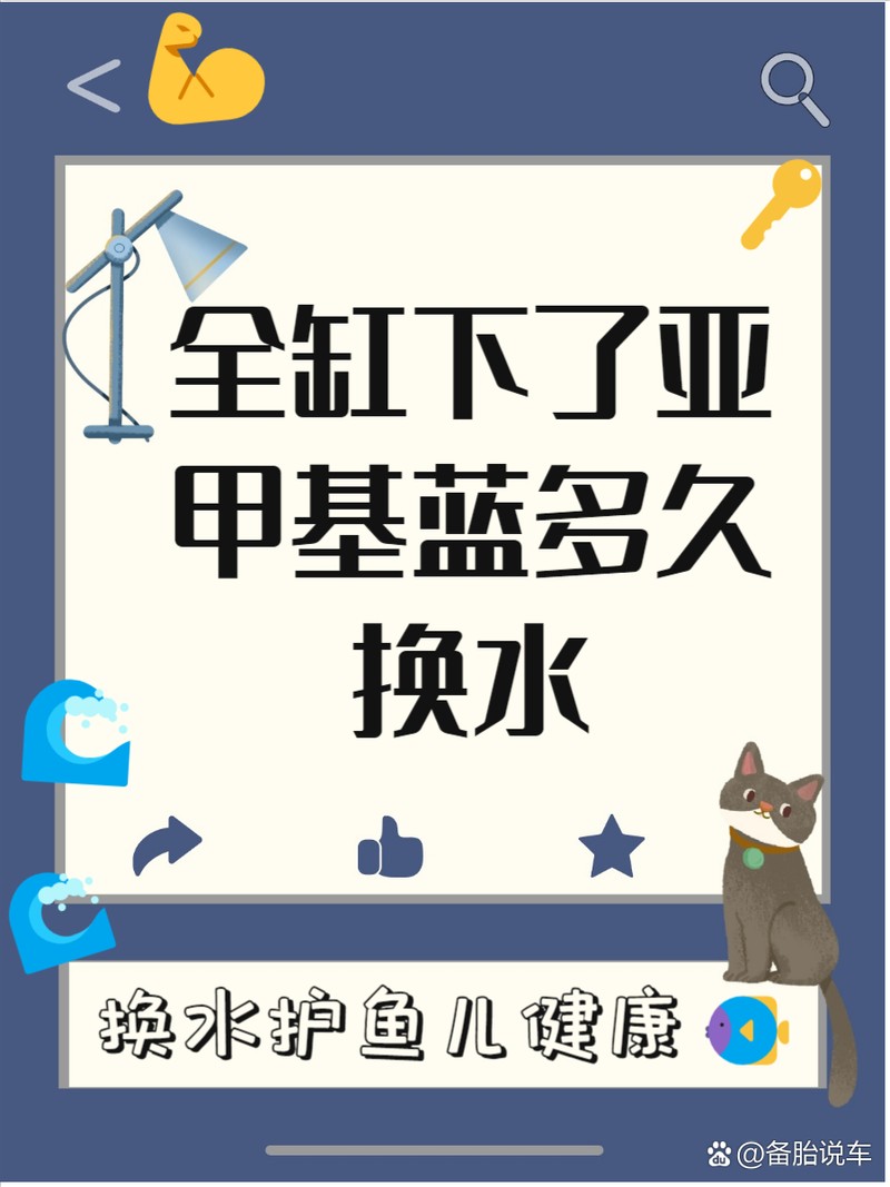 全缸下了亞甲基藍多久換水，亞甲基藍使用亞甲基藍使用后的科學換水策略、換水策略