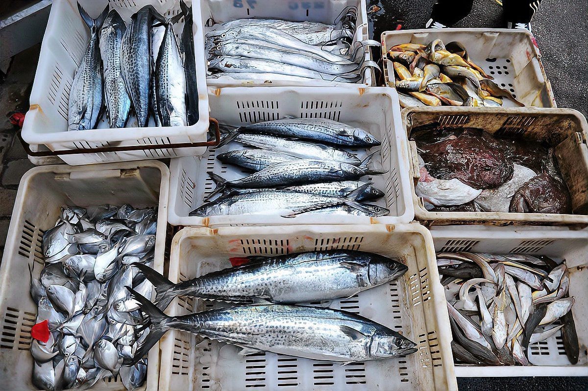 前十名水產(chǎn)魚藥大廠家，中國水產(chǎn)魚藥行業(yè)十大領(lǐng)軍品牌全景解析（2025版）