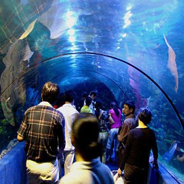 金華水族店，揭秘金華水族店經營范圍有哪些