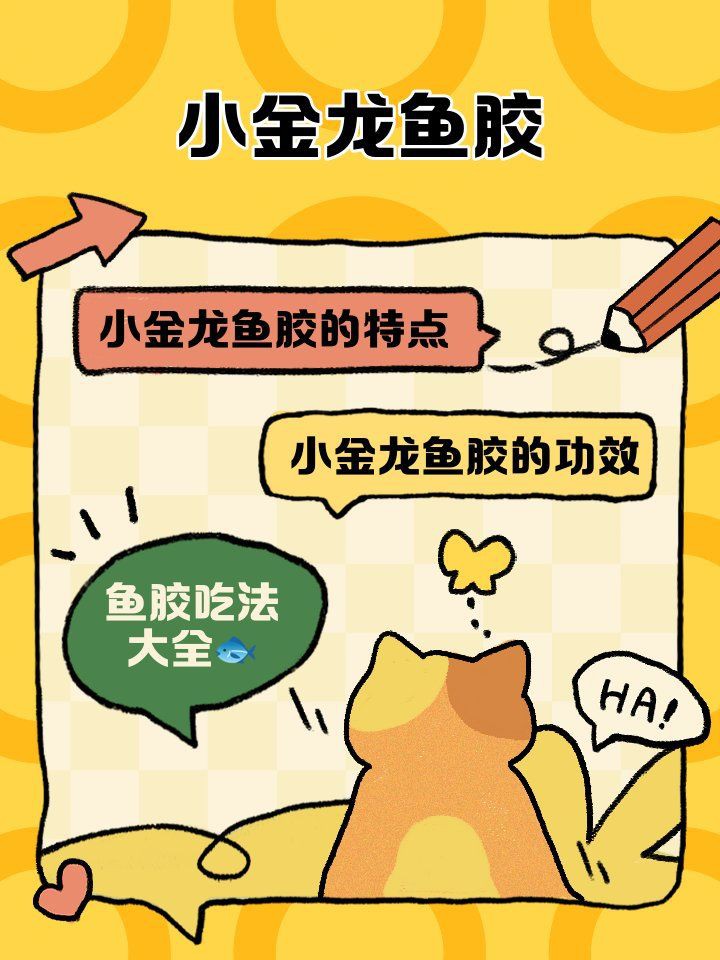 小金龍魚膠是什么魚的膠，小金龍魚膠是一種備受關注的滋補食材其來源因定義不同而有差異